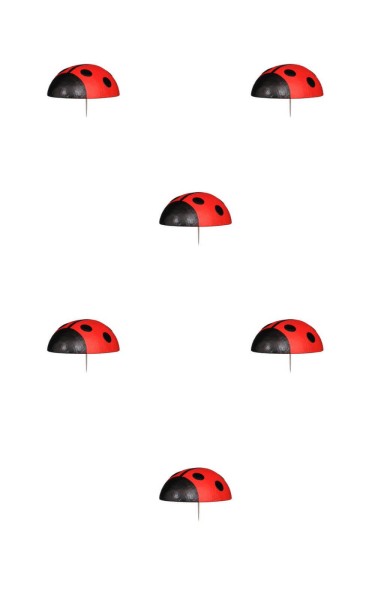 Ladybugs, 6 pieces by Christian Ulbricht